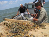 Oysterman Joseph James of Apalachicola showing Governor Charlie Crist how oysters are measured in Apalachicola Bay.