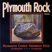 Plymouth Citrus Growers Association's Plymouth Rock brand citrus label