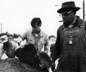 Florida Governor Bob Graham sodding grass for the Hammet Company Incorporated