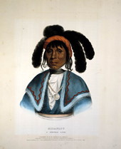 Micanopy, a Seminole chief.
