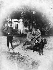 Young boys using goat cart - Tallahassee, Florida.