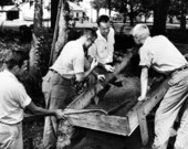 Florida State University professor and students at a dig.