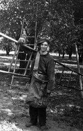 Migrant orange picker holding ladder - Polk County, Florida