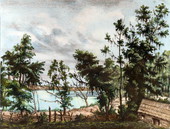 Lithograph of a plantation on Lake Lafayette - Leon County, Florida.