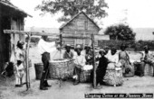 Weighing cotton at the planter's home - Jefferson County, Florida