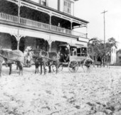 Red Cross ambulance in Tampa during the Spanish-American war