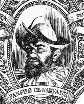 Drawing of Panfilo de Narvaez.