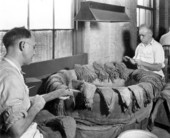 Workers selecting cigar wrappers - Tampa, Florida.