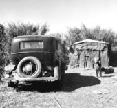 Dwelling for migrant workers - Belle Glade, Florida.