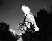 Cockatoo on a "bicycle" at Parrot Jungle - Miami, Florida.