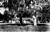 Lewis Plantation restaurant and turpentine still- Brooksville, Florida