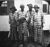 Convicts leased to harvest timber.