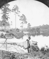 Fisherman's seines on the St. Johns River