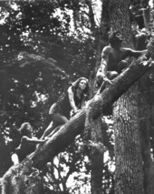 Boy, Jane and Tarzan during filming of "Tarzan's Secret Treasure" - Wakulla Springs, Florida.