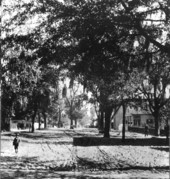 Looking down Forsyth Street - Jacksonville, Florida.