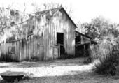 Deteriorating barn at the Marjorie Kinnan Rawlings home - Cross Creek, Florida