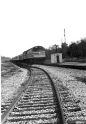 Amtrak Silver Meteor at Orange City Junction - Orange City Region, Florida