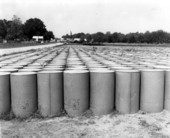 Barrels of turpentine at storage yard of Boynton's still, near Tallahassee