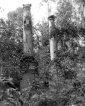 Vine covered column ruins of Verdura plantation - Tallahassee, Florida