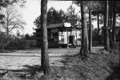 Country store in north central Florida.
