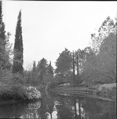 Scenic view along lake at the Killearn Gardens State Park in Tallahassee, Florida.