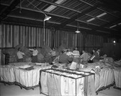 Tallahassee Post Office employees sorting Christmas mail.