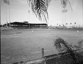 Al Lang Field in St. Petersburg.