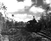 Trains pulling lumber - Copeland, Florida