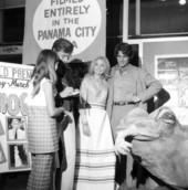 Joan Van Ark and Sam Elliott at the premiere of "Frogs" - Panama City, Florida