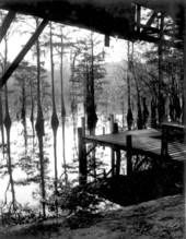 View of docks and a lake - Wewahitchka, Florida .