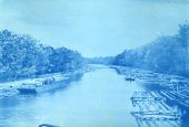 Log rafts being transported along river at Apalachicola, Florida.