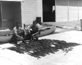 Unidentified game and fish officers with alligators