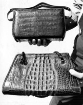 Alligator handbags