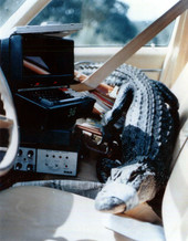 Alligator and scientific equipment in the cab of a car