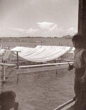 View of nets drying at the docks - Riviera Beach, Florida.