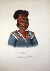 Foke-Luste-Hajo, a Seminole.